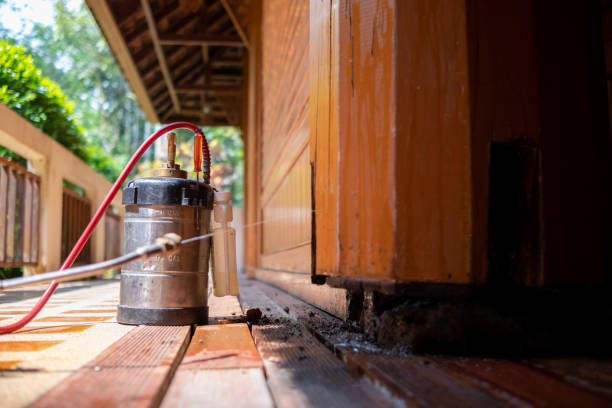 Best Pest Removal Services  in Campbellsville, KY
