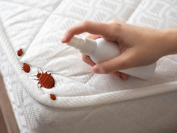 Trusted Campbellsville, KY Pest Control Experts