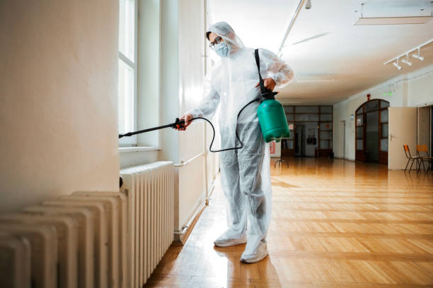 Best Affordable Pest Control Services  in Campbellsville, KY
