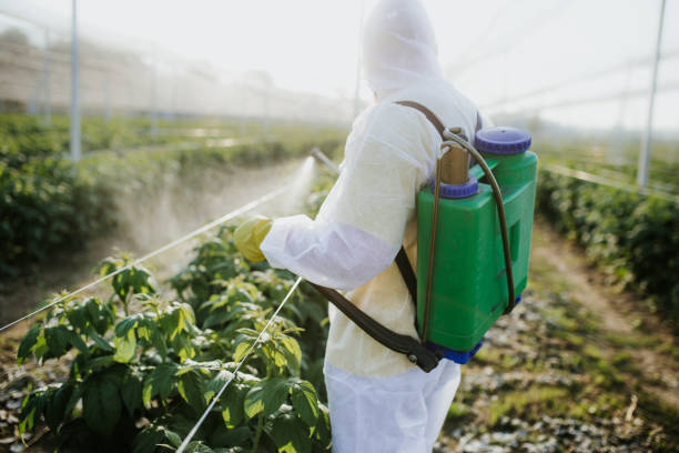 Best Affordable Pest Control Services  in Campbellsville, KY